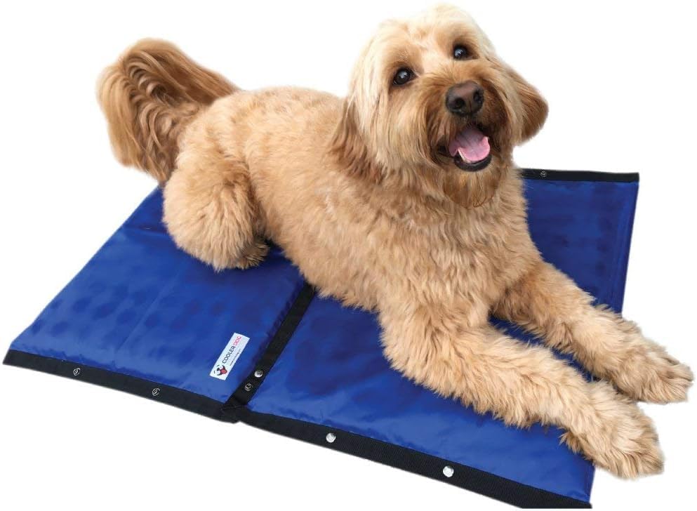 Cooler Dog Hydro Cooling Mat – Self-Cooling Pet Mat for Dogs, Perfect for Hot Weather
